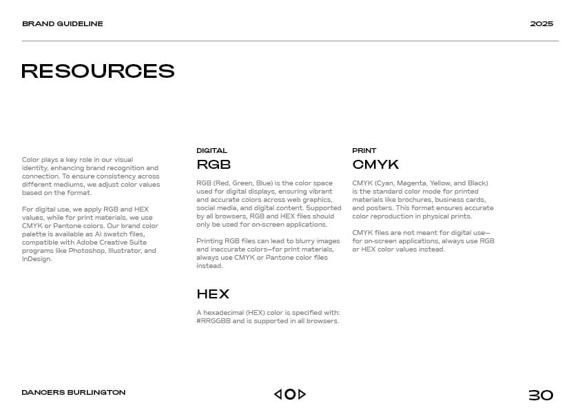Brand Guideline DB Layout30